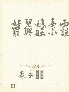 好儿媳秦雨罗明罗兴旺小说
