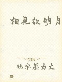 相见故明月