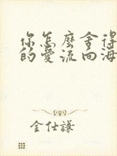 你怎么舍得让我的爱流向海封面