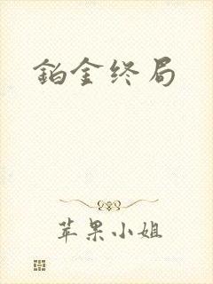 铂金终局封面