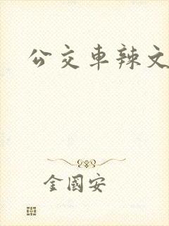 公交车辣文小说