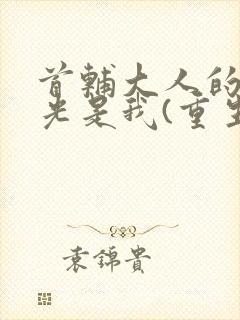 首辅大人的白月光是我(重生)