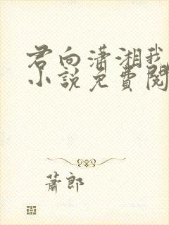 君向潇湘我向秦小说免费阅读