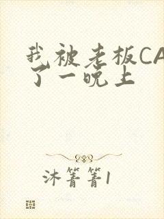 我被老板CAO了一晚上封面