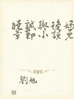 晓诚与后妈全部章节小说免费阅读下封面
