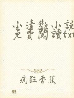 小清欢小说全文免费阅读txt下载