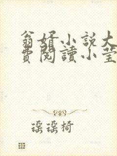 翁婿小说大全免费阅读小莹