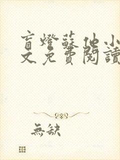 盲灯苏他小说全文免费阅读无弹窗封面