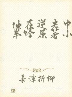 他在逆光中告白半吟原著小说