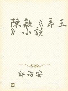 陈敏《弄玉偷香》小说