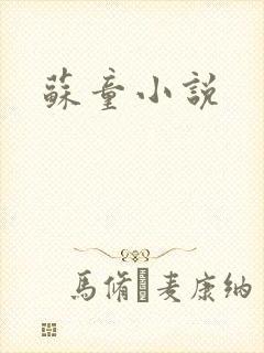 苏童小说