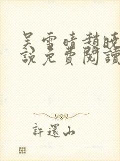 吴雪晴赵晓东小说免费阅读封面