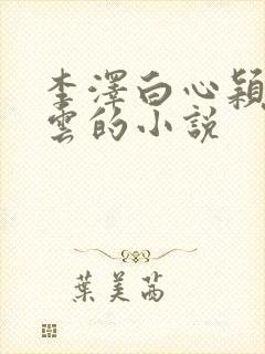 李泽白心颖黄贵云的小说