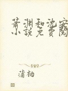萧渊和沈安安的小说免费阅读