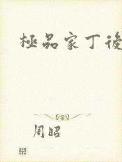 极品家丁后传