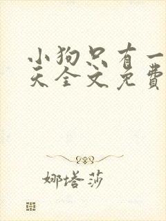 小狗只有一个夏天全文免费阅读