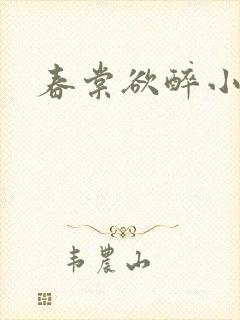 春棠欲醉小说封面