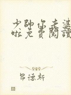 少帅你老婆又跑啦免费阅读