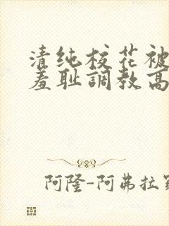 清纯校花被民工羞耻调教高hby留意zzz