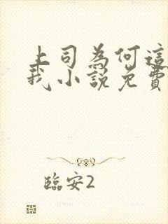 上司为何这样对我小说免费阅读