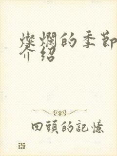 灿烂的季节剧情介绍封面