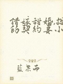 错嫁甜婚,总裁的契约妻小说