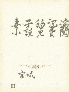 妻子的沉沦辰南小说免费阅读