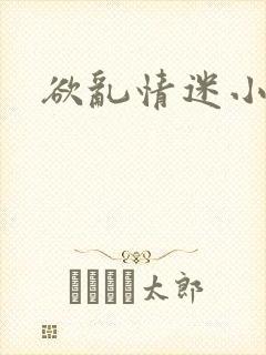 欲乱情迷小说封面