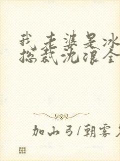 我老婆是冰山女总裁沈浪全集