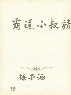 霸道小叔请轻撩封面
