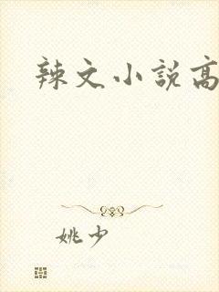 辣文小说高h