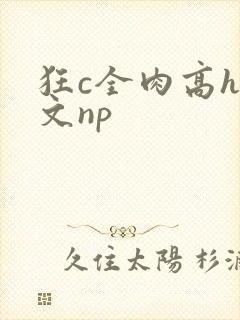 狂c全肉高h辣文np封面