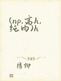 (np,高h,纯肉)h