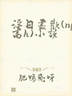 淫日尽欢(np高h)小说