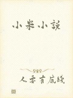 小米小说