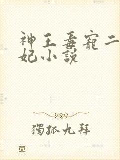 神王毒宠二嫁王妃小说