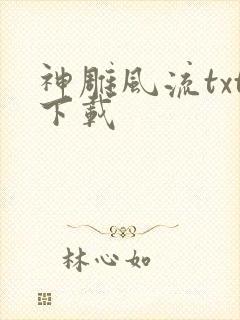 神雕风流txt下载封面