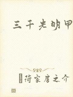 三千光明甲封面