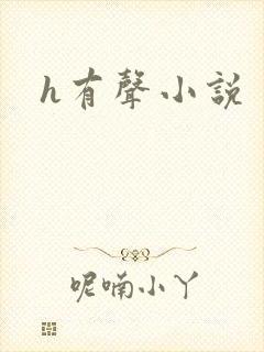 h有声小说