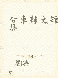 公车辣文短篇合集