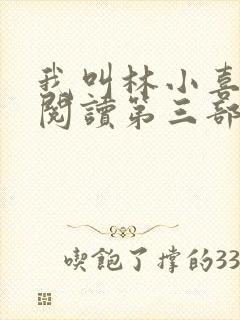 我叫林小喜全文阅读第三部封面