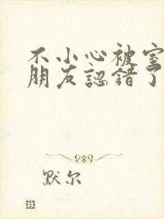 不小心被室友男朋友认错了宁笑阿温作者