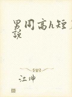 男同高h短篇小说