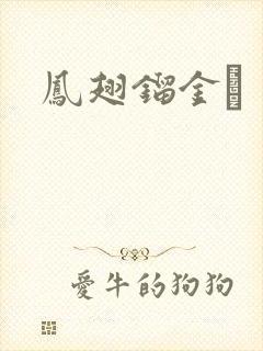 凤翅镏金镋封面