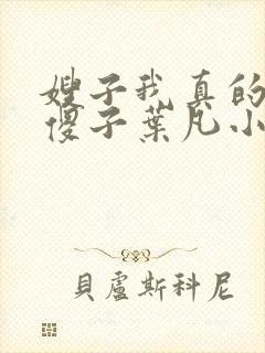 嫂子我真的不是傻子叶凡小说 原名封面