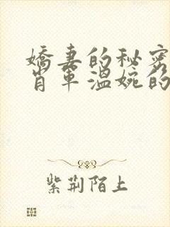 娇妻的秘密白柔肖军温婉的小说免费阅读