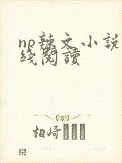 np辣文小说在线阅读