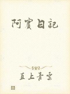 阿宾日记