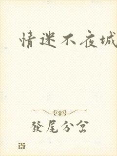 情迷不夜城