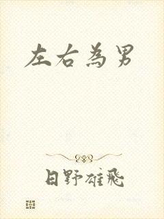 左右为男封面